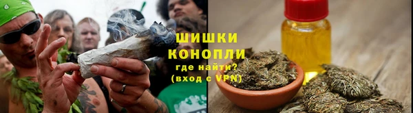 spice Вяземский