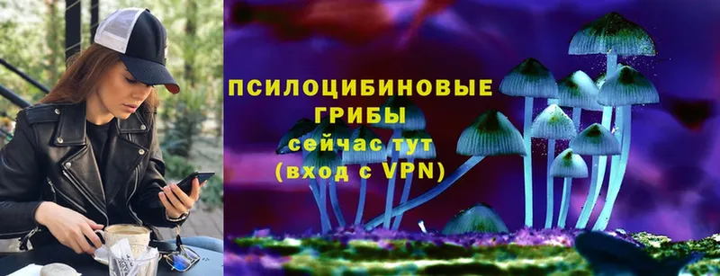 Галлюциногенные грибы прущие грибы  наркотики  Лаишево 